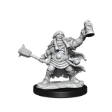 D&D Frameworks Dwarf Cleric Female - Gap Games