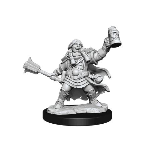 D&D Frameworks Dwarf Cleric Female - Gap Games