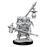 D&D Frameworks Dwarf Fighter Male - Gap Games