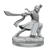 D&D Frameworks Elf Monk Male - Gap Games