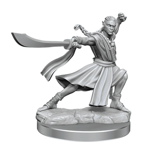 D&D Frameworks Elf Monk Male - Gap Games