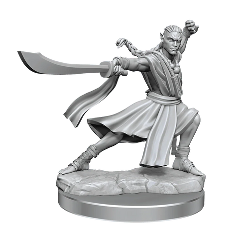 D&D Frameworks Elf Monk Male - Gap Games