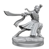 D&D Frameworks Elf Monk Male - Gap Games