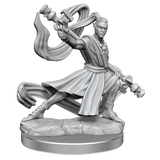 D&D Frameworks Elf Monk Male - Gap Games
