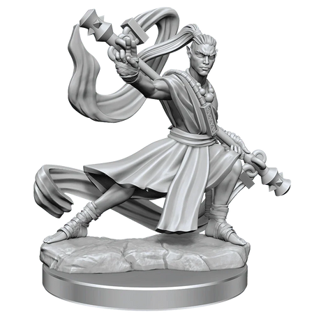 D&D Frameworks Elf Monk Male - Gap Games