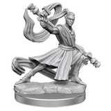 D&D Frameworks Elf Monk Male - Gap Games