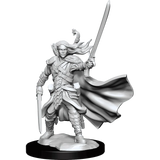 D&D Frameworks Elf Ranger Male - Gap Games