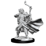 D&D Frameworks Elf Ranger Male - Gap Games