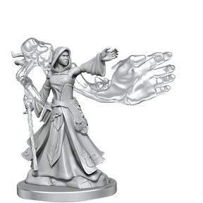 D&D Frameworks Elf Wizard Female - Gap Games