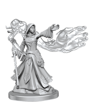 D&D Frameworks Elf Wizard Female - Gap Games