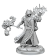 D&D Frameworks Human Cleric Male - Gap Games