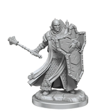 D&D Frameworks Human Cleric Male - Gap Games