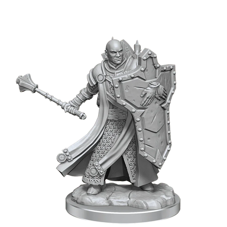 D&D Frameworks Human Cleric Male - Gap Games