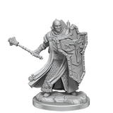 D&D Frameworks Human Cleric Male - Gap Games