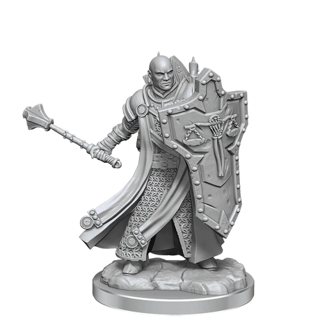 D&D Frameworks Human Cleric Male - Gap Games