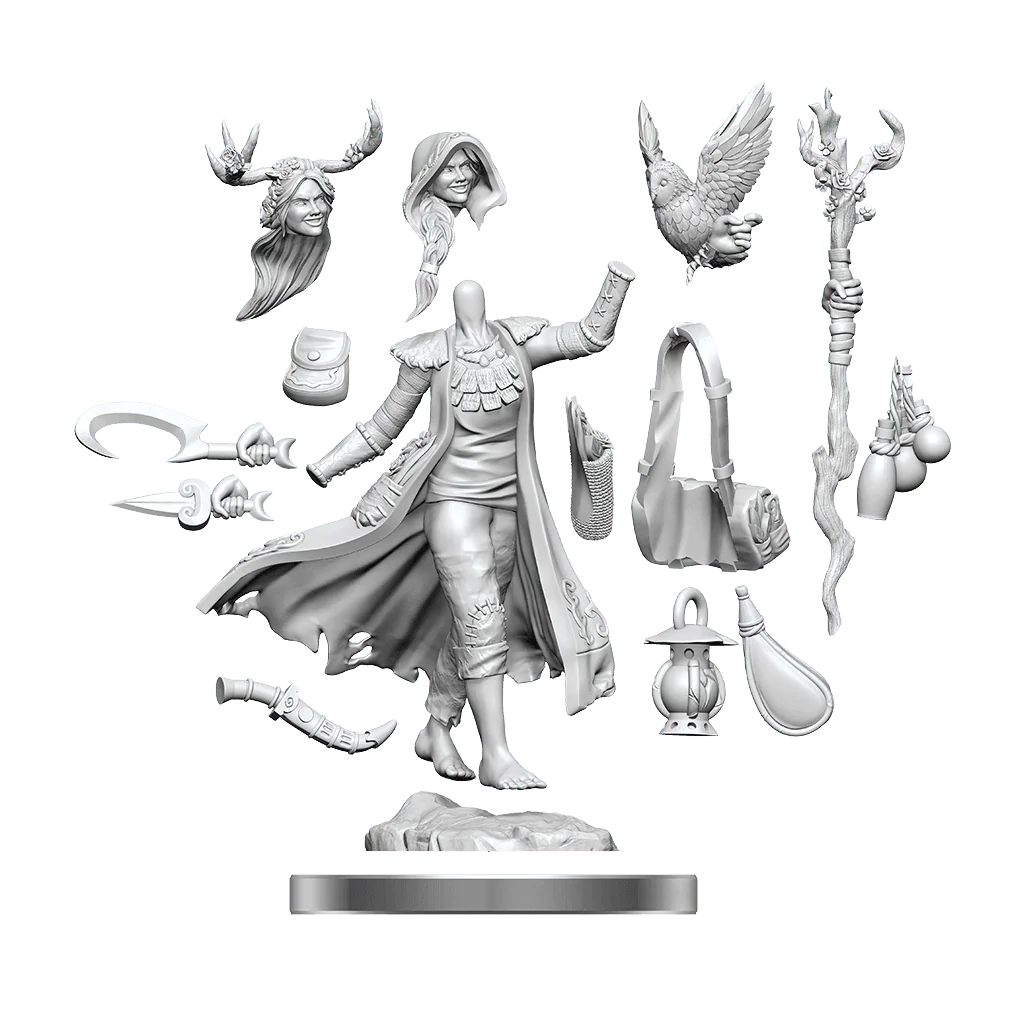 D&D Frameworks Human Druid Female - Gap Games
