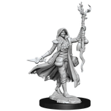 D&D Frameworks Human Druid Female - Gap Games