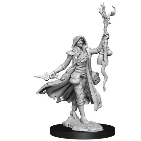 D&D Frameworks Human Druid Female - Gap Games