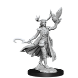 D&D Frameworks Human Druid Female - Gap Games