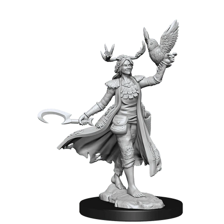 D&D Frameworks Human Druid Female - Gap Games