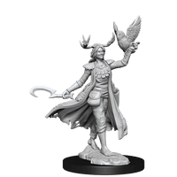 D&D Frameworks Human Druid Female - Gap Games