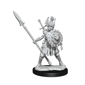 D&D Frameworks Human Fighter Female - Gap Games