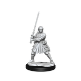 D&D Frameworks Human Fighter Female - Gap Games