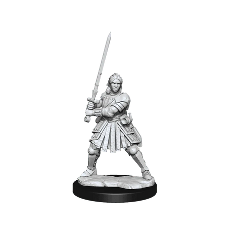 D&D Frameworks Human Fighter Female - Gap Games