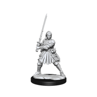 D&D Frameworks Human Fighter Female - Gap Games