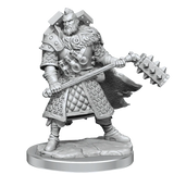 D&D Frameworks Human Male Fighter - Gap Games