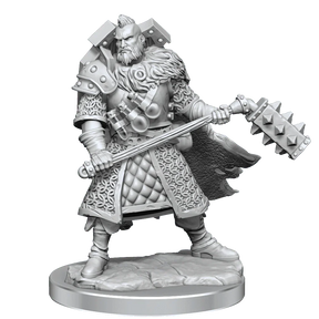 D&D Frameworks Human Male Fighter - Gap Games