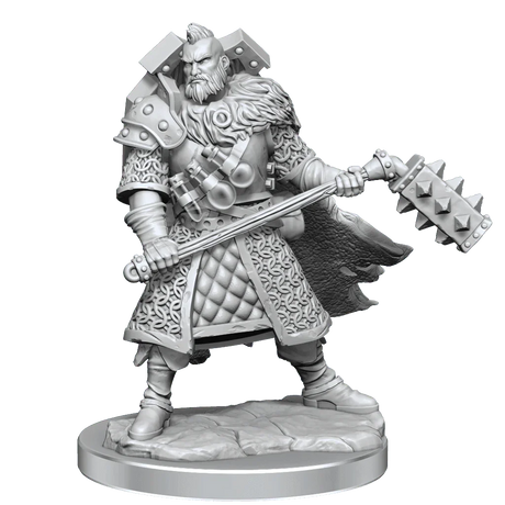 D&D Frameworks Human Male Fighter - Gap Games