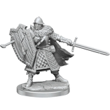 D&D Frameworks Human Male Fighter - Gap Games
