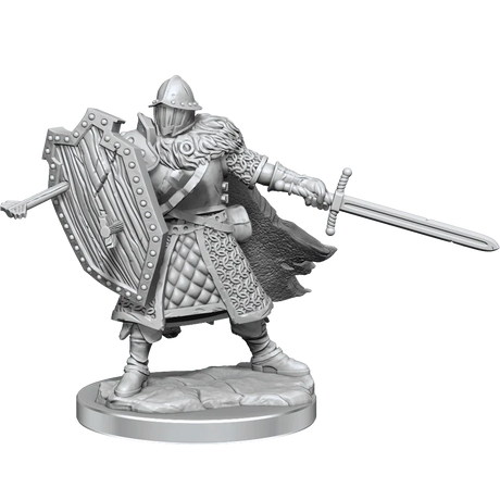 D&D Frameworks Human Male Fighter - Gap Games