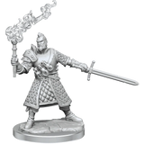 D&D Frameworks Human Male Fighter - Gap Games