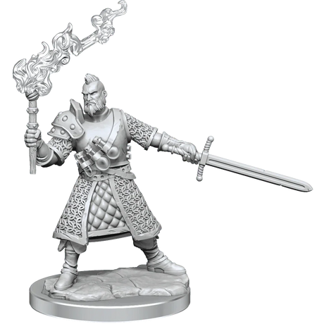 D&D Frameworks Human Male Fighter - Gap Games