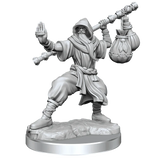 D&D Frameworks Human Monk Male - Gap Games