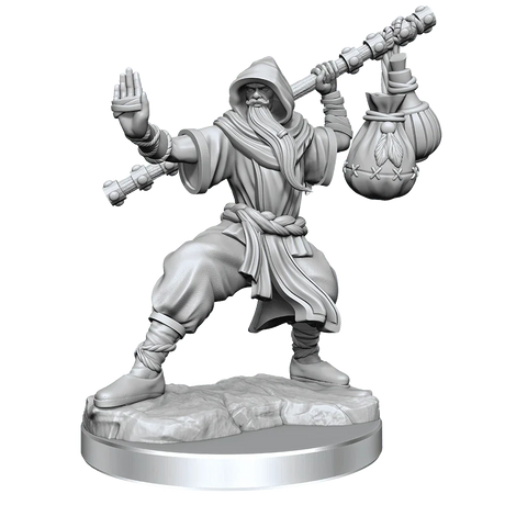 D&D Frameworks Human Monk Male - Gap Games