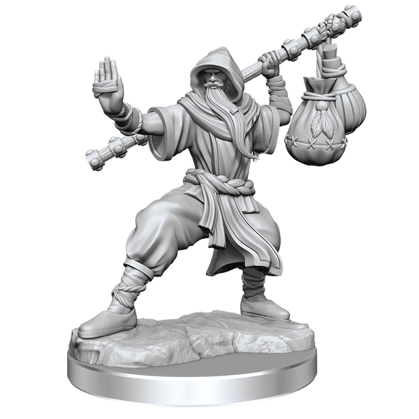 D&D Frameworks Human Monk Male - Gap Games