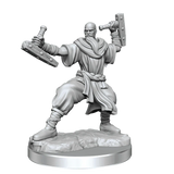 D&D Frameworks Human Monk Male - Gap Games
