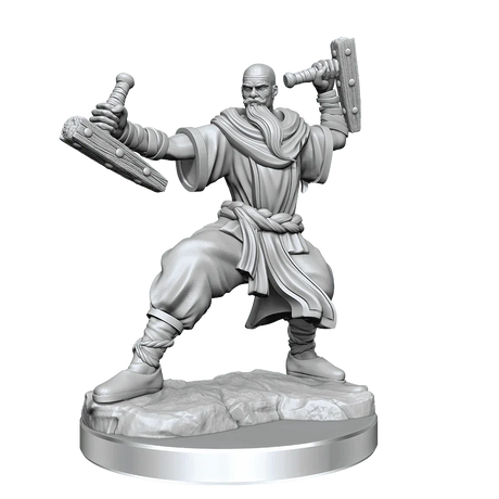 D&D Frameworks Human Monk Male - Gap Games