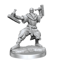 D&D Frameworks Human Monk Male - Gap Games