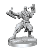 D&D Frameworks Human Monk Male - Gap Games