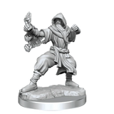 D&D Frameworks Human Monk Male - Gap Games
