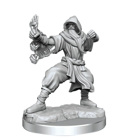 D&D Frameworks Human Monk Male - Gap Games