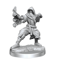 D&D Frameworks Human Monk Male - Gap Games