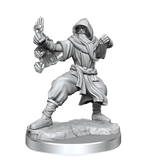 D&D Frameworks Human Monk Male - Gap Games