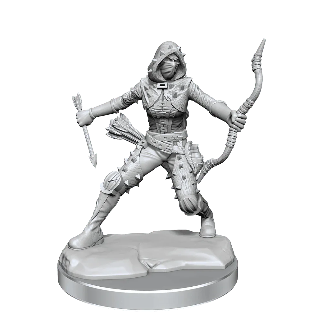 D&D Frameworks Human Rogue Female - Gap Games