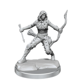 D&D Frameworks Human Rogue Female - Gap Games