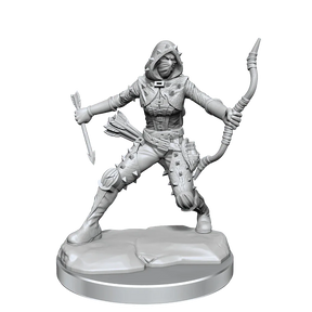 D&D Frameworks Human Rogue Female - Gap Games
